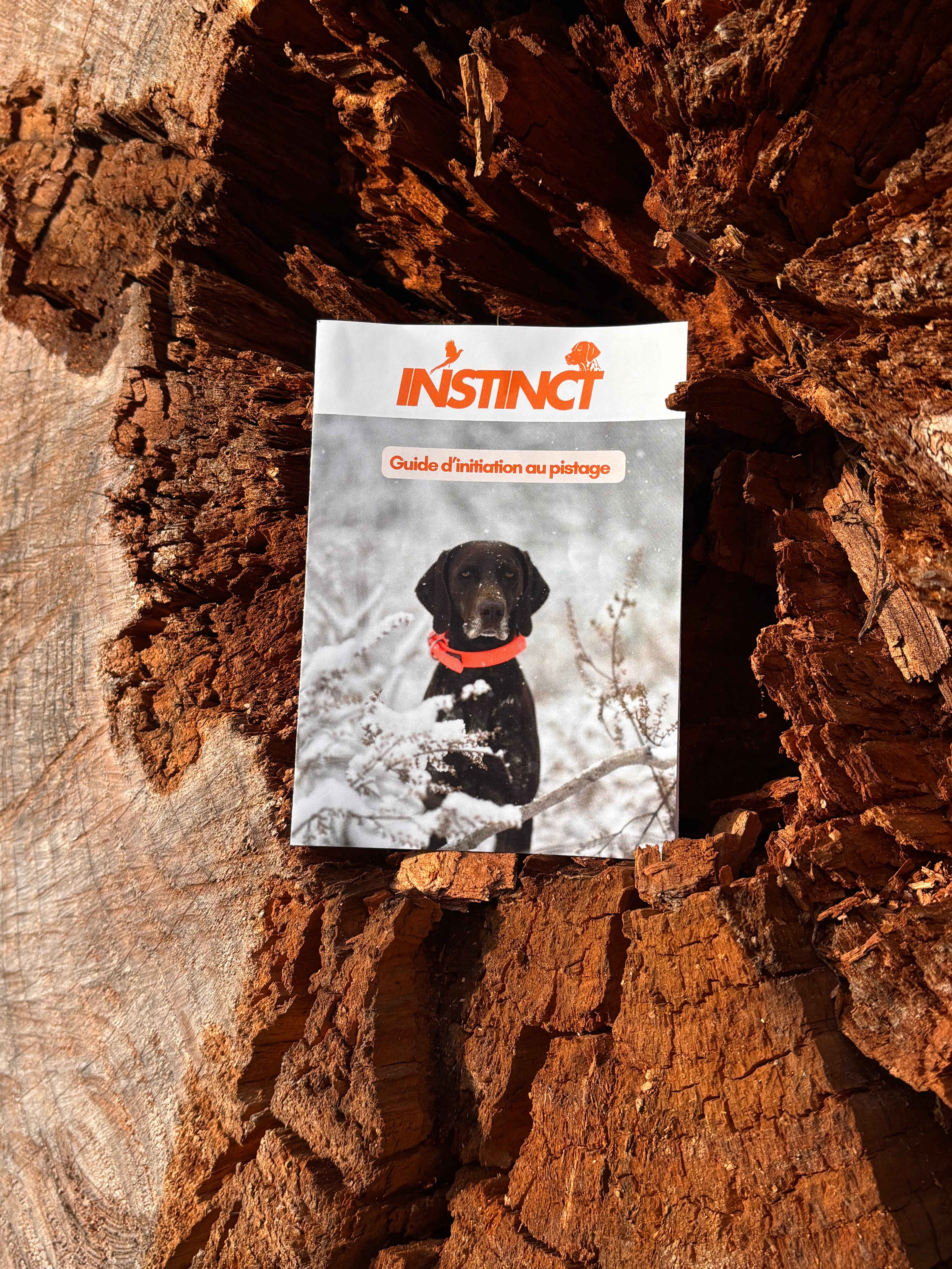 Box initiation pistage