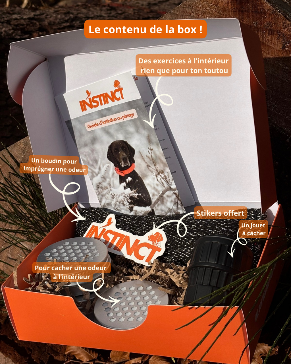 Box initiation pistage