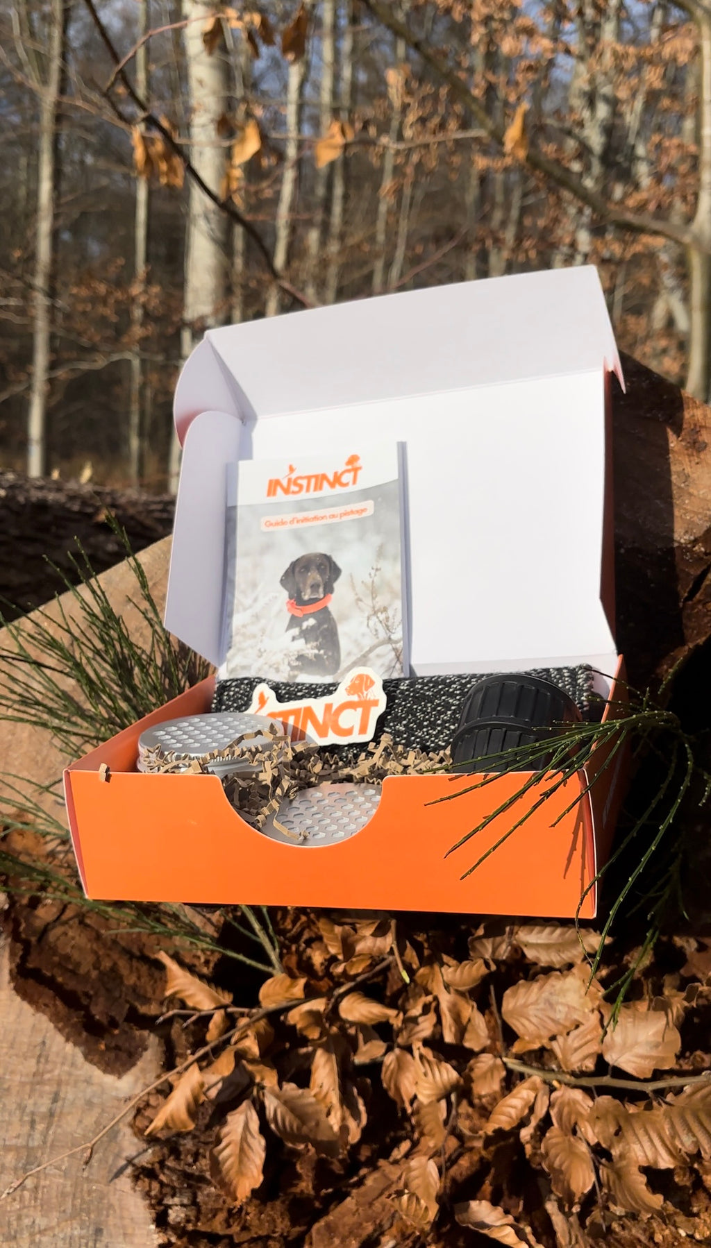 Box initiation pistage