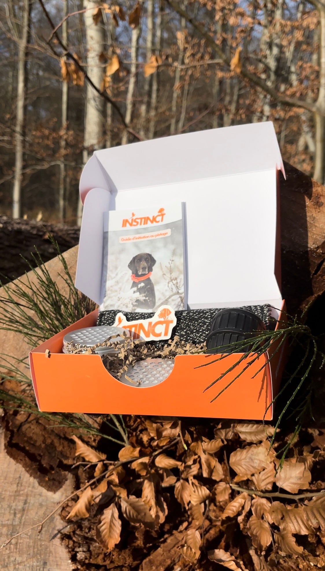 Box initiation pistage